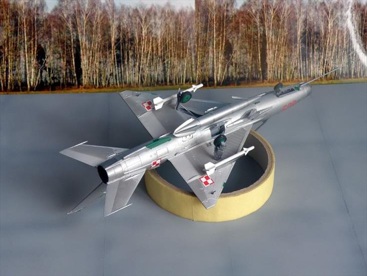 MiG-21 F13 - 12-2.jpg