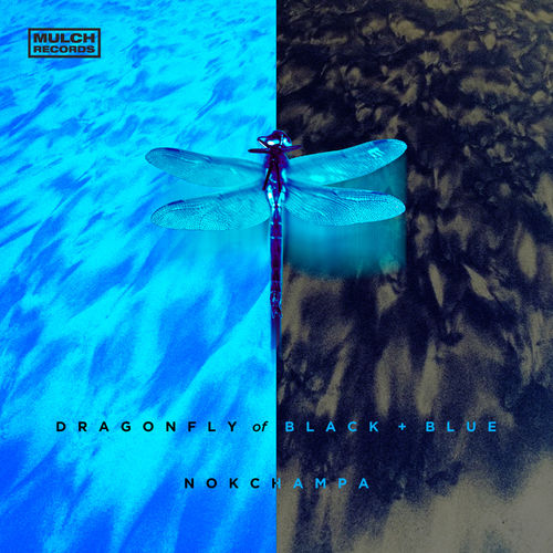 Nokchampa - Dragonfly of Black and Blue 2019_ - cover.jpg