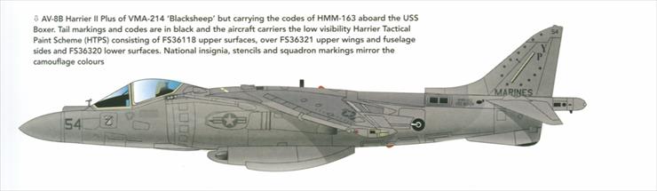 McDonnel - McDonell-Douglas AV-8B Harrier II 11.bmp