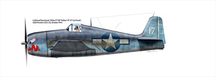 Grumman - Grumman F6F Hellcat 3.bmp