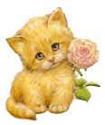 GIFY RÓŻNE - kote z różą.gif
