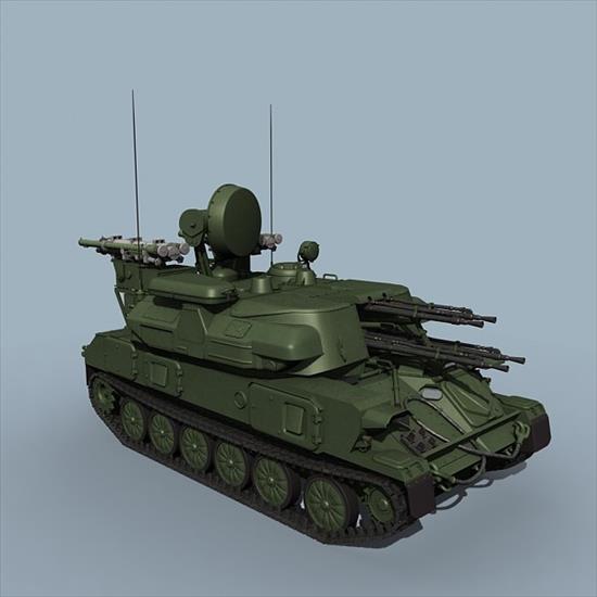 Wojna Ukraińsko-Rosyjska 2022-2024 Uzbrojenie - shilkam4-1.jpg