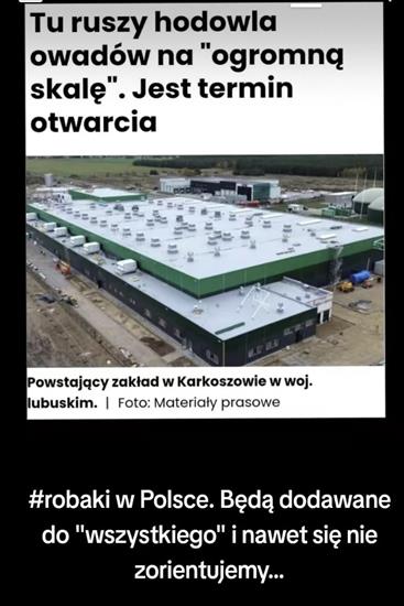 megur - Powstający zakład w Karkoszowie w woj. lubuskim foto mater.prasowe.jpg