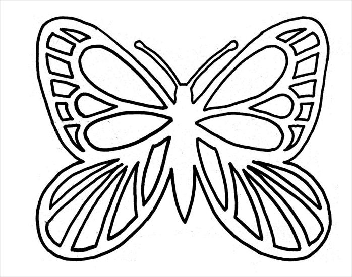 Motyle - witraż 6.JPG