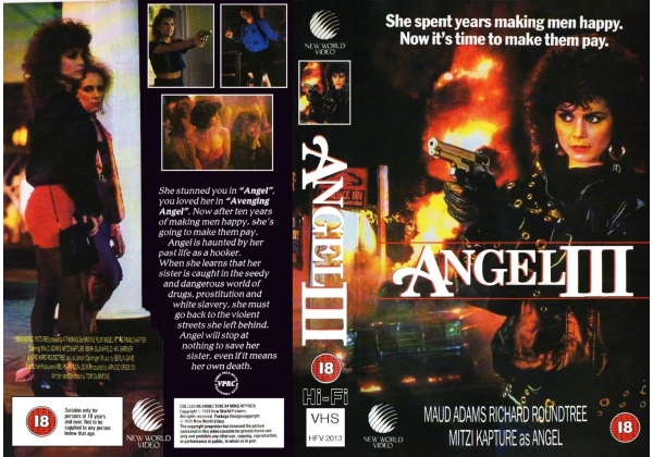 THE ANGEL III THE FINAL CHAPTER Sub.PL - THE ANGEL III THE FINAL CHAPTER.jpg